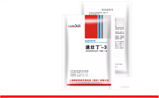 速壯丁 速壯丁