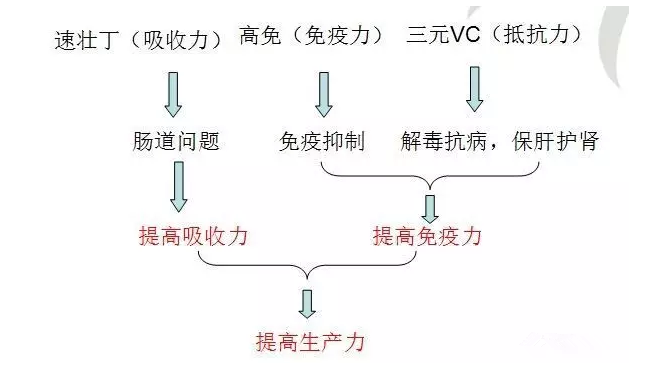 上海邦森333方案_ 上海邦森333方案_