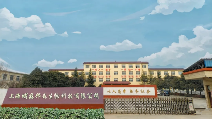 上海明磊邦森廠區(qū)_副本 上海明磊邦森廠區(qū)_副本