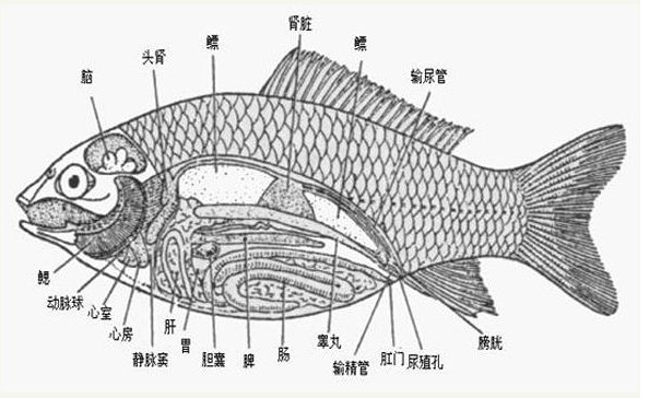 水產(chǎn) 水產(chǎn)