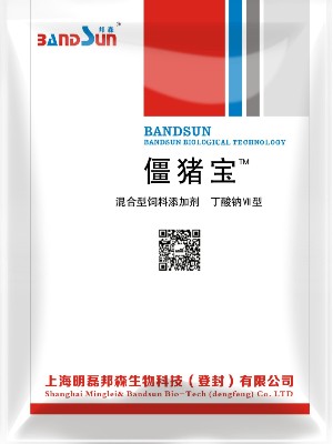 僵豬寶 僵豬寶