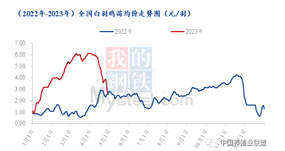 肉禽 肉禽