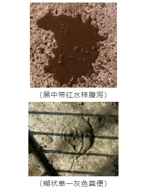 豬病糞便不同 豬病糞便不同