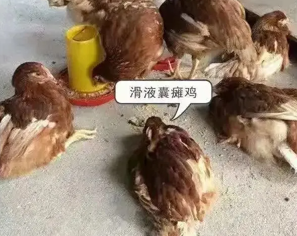 精神不振 精神不振
