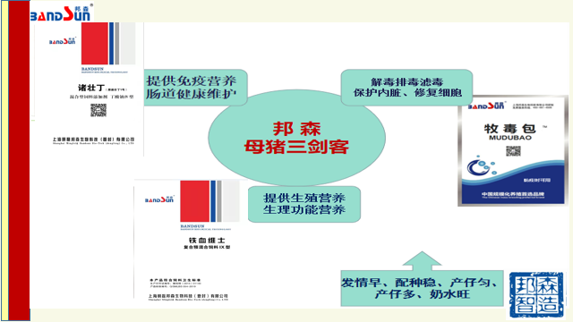 母豬三劍客 母豬三劍客