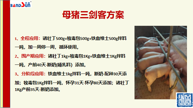 母豬三劍客0 母豬三劍客0