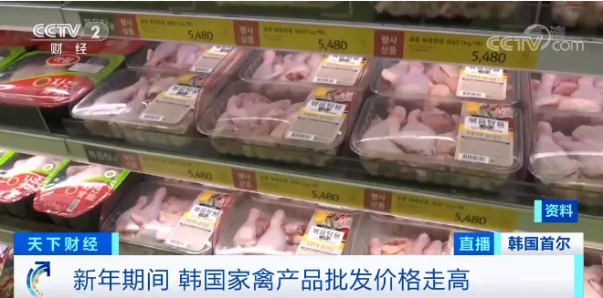 央視報道 央視報道