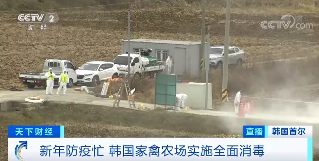 禽流感消毒 禽流感消毒