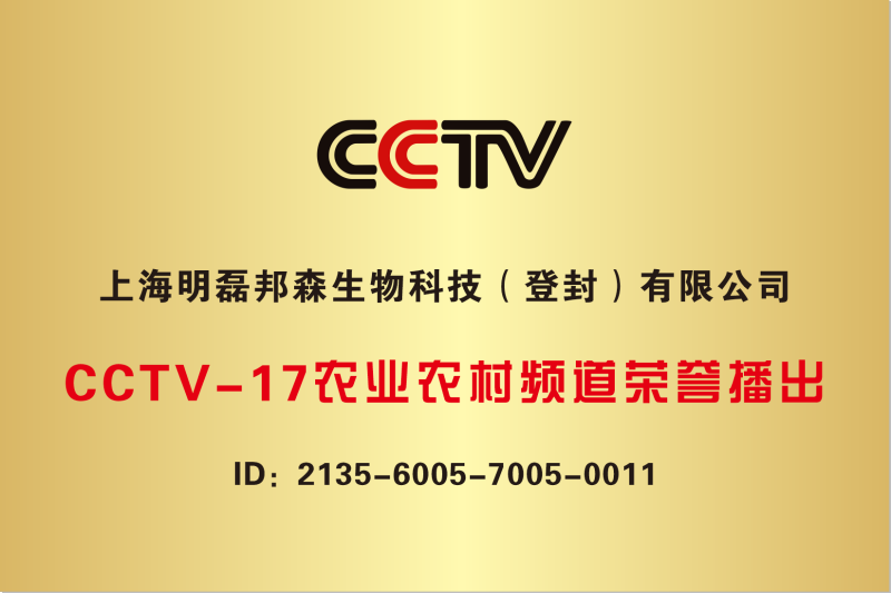 CCTV牌子 CCTV牌子