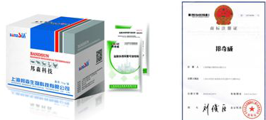 雞慢呼邦 雞慢呼邦