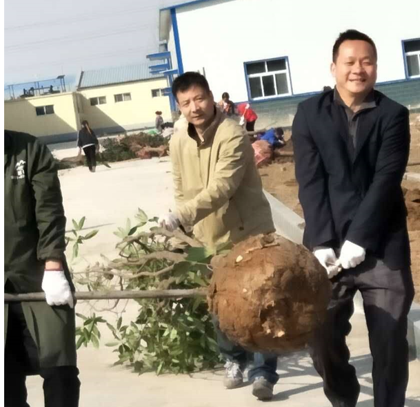 植樹(shù)行動(dòng) 植樹(shù)行動(dòng)