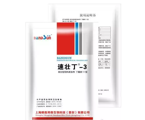 速壯丁3號 速壯丁3號