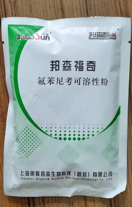 邦森福奇 邦森福奇