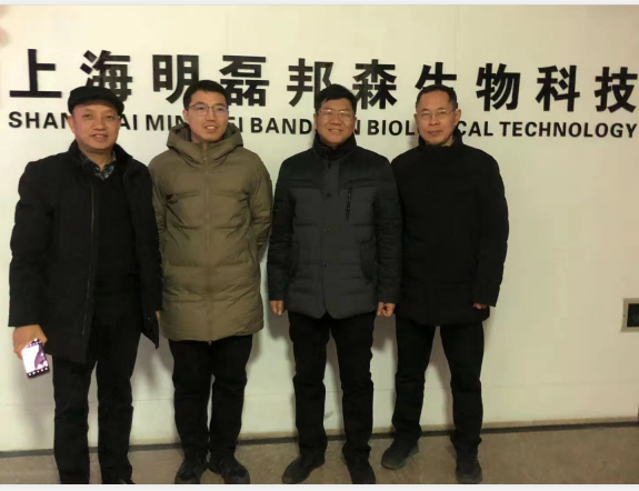 上海邦森汪德剛 上海邦森汪德剛