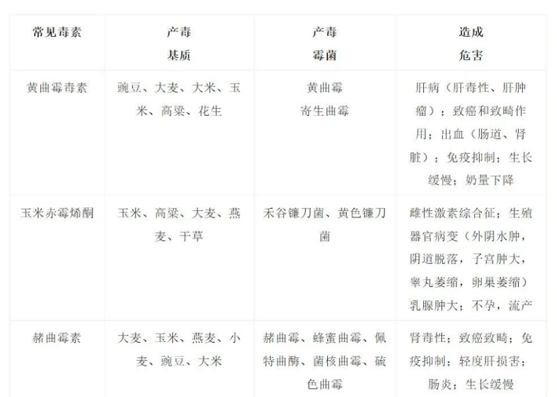 6大霉菌毒素危害 6大霉菌毒素危害