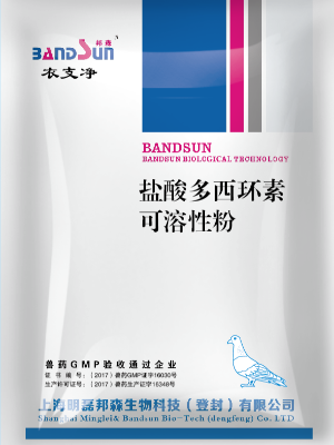 衣支凈 衣支凈