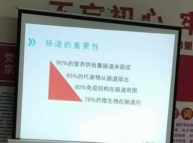 腸道的重要性 腸道的重要性