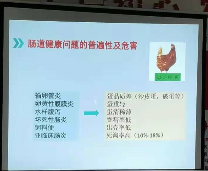 危害2 危害2