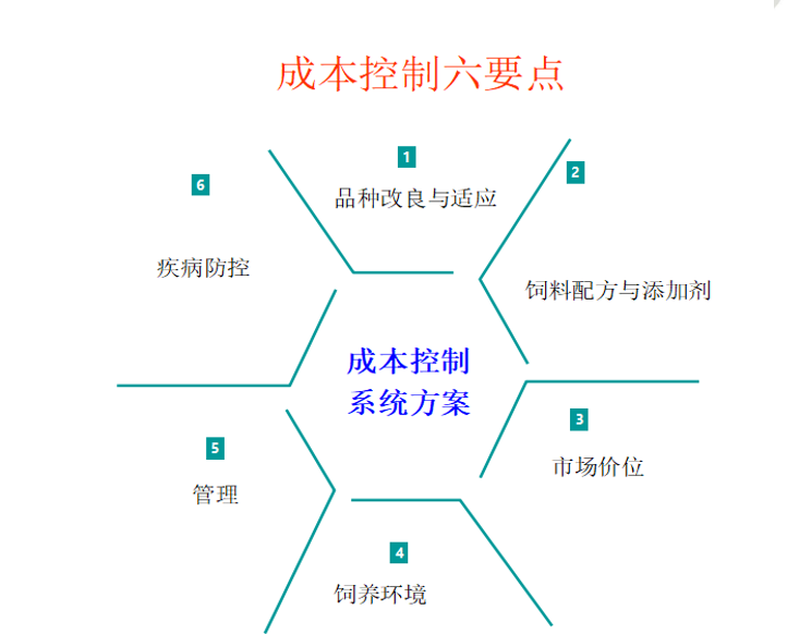 成本 成本