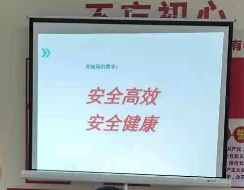 安全健康 安全健康